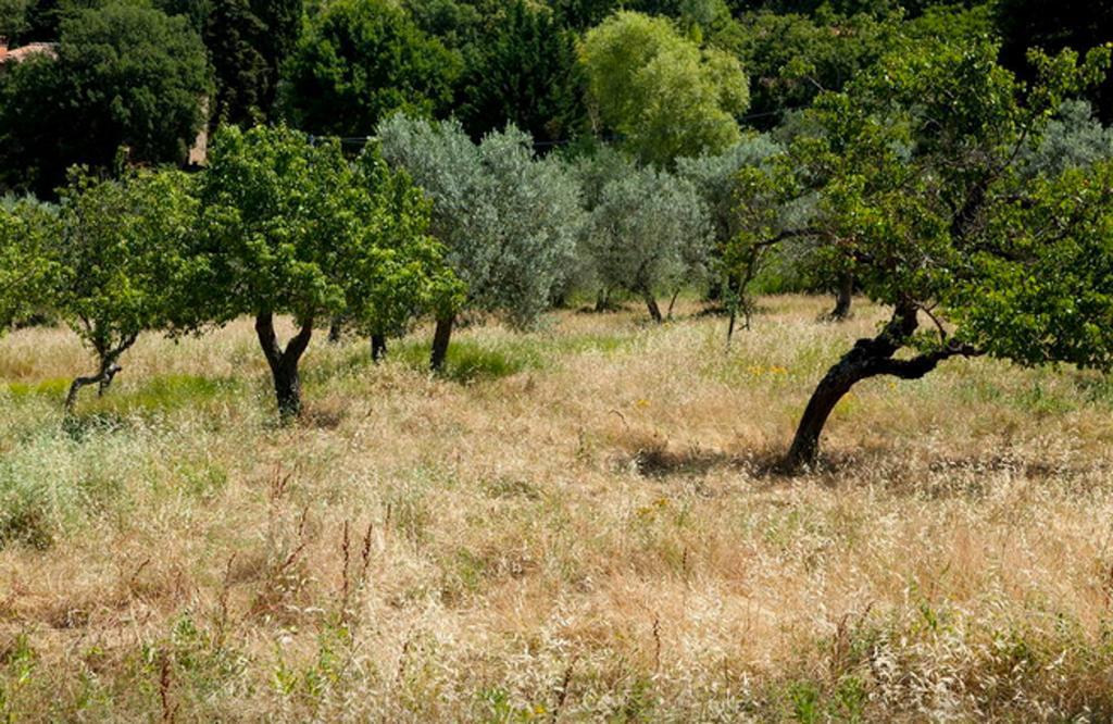 Fattoria La Tavernuzza Грассіна Номер фото