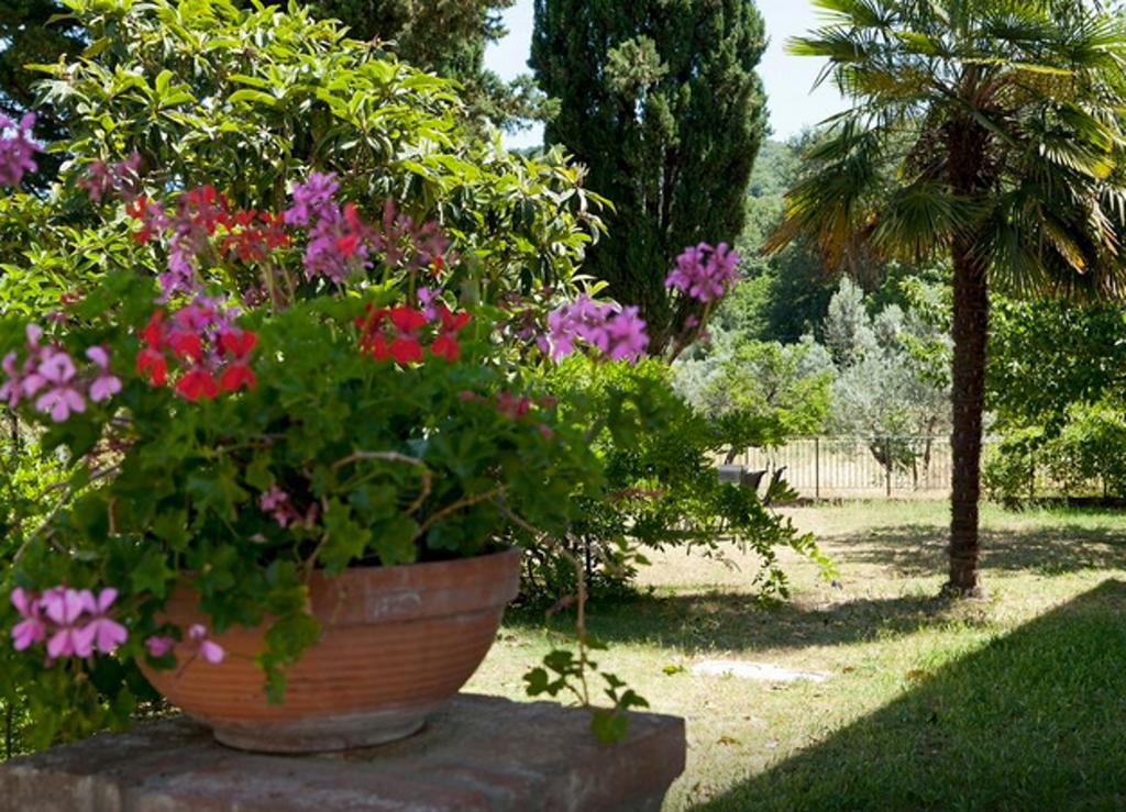 Fattoria La Tavernuzza Грассіна Номер фото