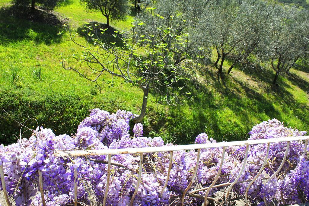 Fattoria La Tavernuzza Грассіна Екстер'єр фото