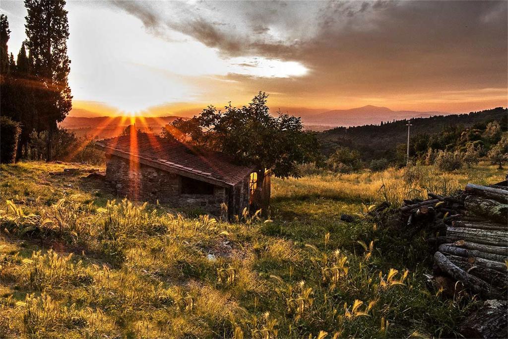 Fattoria La Tavernuzza Грассіна Екстер'єр фото